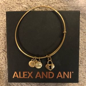 Alex an Ani lock bracelet